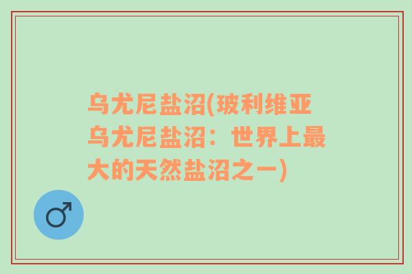 烏尤尼鹽沼(玻利維亞烏尤尼鹽沼：世界上最大的天然鹽沼之一)