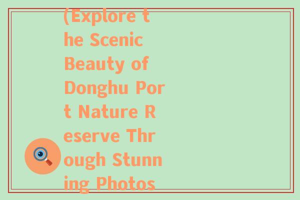 東湖港自然風(fēng)景區(qū)圖片(Explore the Scenic Beauty of Donghu Port Nature Reserve Through Stunning Photos)