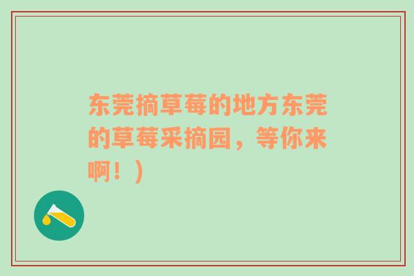 東莞摘草莓的地方東莞的草莓采摘園，等你來(lái)?。?