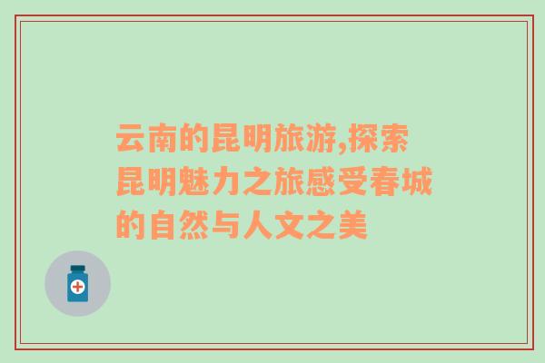云南的昆明旅游,探索昆明魅力之旅感受春城的自然與人文之美